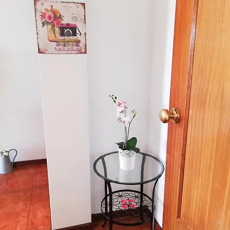 With Mountain View In - 65 Sqm - Terrace Appartement